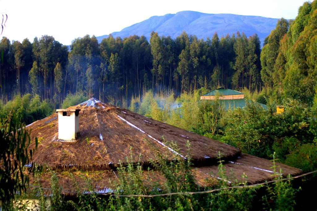 Le Bambou Gorilla Lodge Kinigi Exteriér fotografie