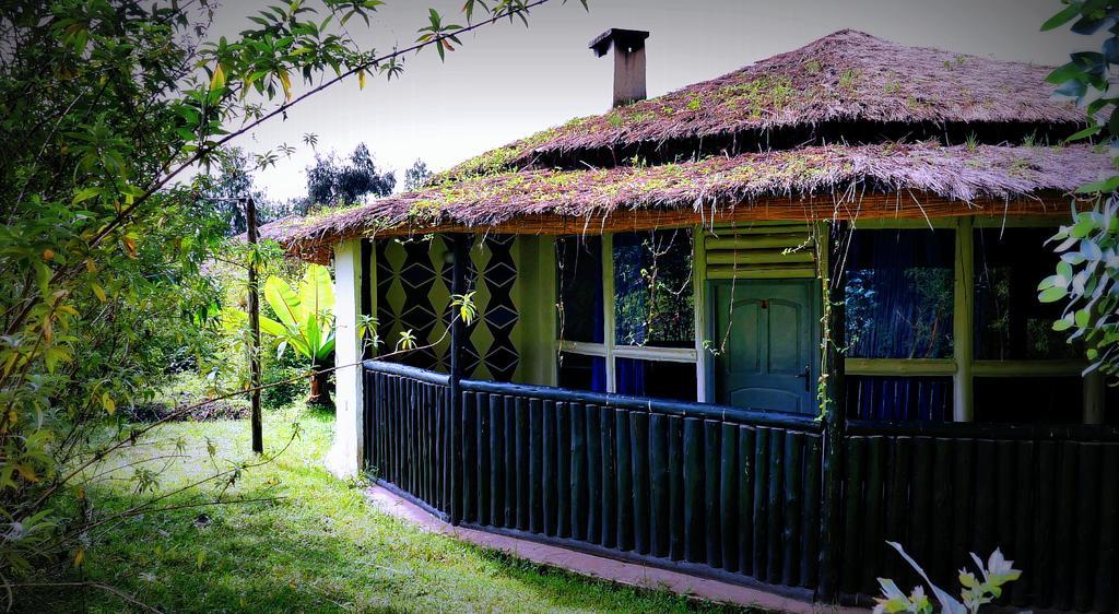 Le Bambou Gorilla Lodge Kinigi Exteriér fotografie